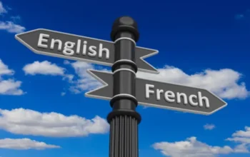 shutterstock_491013763_small